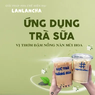 Trà Xanh Lục Trà Thăng Hoa LANLANCHA - Pha Trà Sữa, Trà Trái Cây Đậm Vị, Thơm Hoa, Giá Rẻ 34.200đ 4