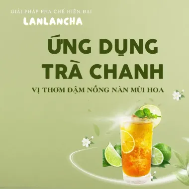Trà Xanh Lục Trà Thăng Hoa LANLANCHA - Pha Trà Sữa, Trà Trái Cây Đậm Vị, Thơm Hoa, Giá Rẻ 34.200đ 5