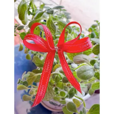 Túi Đựng Quà PVC Trong Suốt Sang Trọng Giảm Giá - Quà Tặng Lễ Tết, Valentine chỉ 8500đ 13 Túi Đựng Quà PVC Trong Suốt Sang Trọng Giảm Giá - Quà Tặng Lễ Tết, Valentine chỉ 8500đ 13