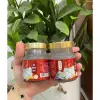 Yến chưng sẵn đường phèn Nha Trang 70ml nguyên chất giá tốt chỉ 240k 10