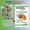 10 hạt hạt giống bí đỏ trái tròn phương Nam - Giảm giá, chỉ 14.900 VNĐ, năng suất cao