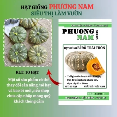 10 hạt hạt giống bí đỏ trái tròn phương Nam - Giảm giá, chỉ 14.900 VNĐ, năng suất cao 5 10 hạt hạt giống bí đỏ trái tròn phương Nam - Giảm giá, chỉ 14.900 VNĐ, năng suất cao 5
