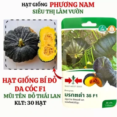 10 hạt hạt giống bí đỏ trái tròn phương Nam - Giảm giá, chỉ 14.900 VNĐ, năng suất cao