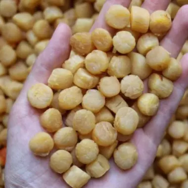 100GR Còi Sò Điệp Khô Loại Ngon Đặc Sản Phan Thiết - Bình Thuận 4