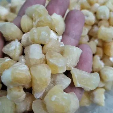 100GR Còi Sò Điệp Khô Loại Ngon Đặc Sản Phan Thiết - Bình Thuận 6