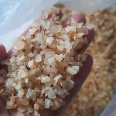 100GR Còi Sò Điệp Khô Loại Ngon Đặc Sản Phan Thiết - Bình Thuận 7
