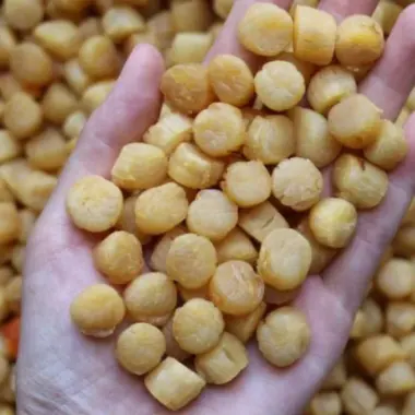 100GR Còi Sò Điệp Khô Loại Ngon Đặc Sản Phan Thiết - Bình Thuận 12