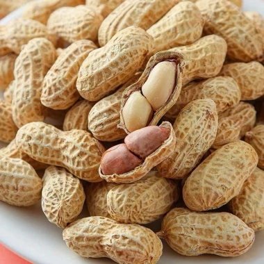 500g Lạc Củ và Lạc Rang Nguyên Vỏ Tẩm Vị, Đậu Phộng Rang Chín giảm giá 35.480₫ 2