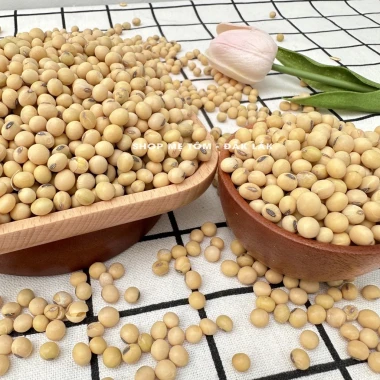 500GRAM ĐẬU NÀNH ĐĂKLĂK shop mẹ Tôm (CÓ XUẤT HÓA ĐƠN CÔNG TY)