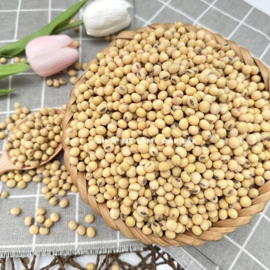 500GRAM ĐẬU NÀNH ĐĂKLĂK shop mẹ Tôm (CÓ XUẤT HÓA ĐƠN CÔNG TY)