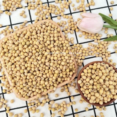 500GRAM ĐẬU NÀNH ĐĂKLĂK shop mẹ Tôm (CÓ XUẤT HÓA ĐƠN CÔNG TY)