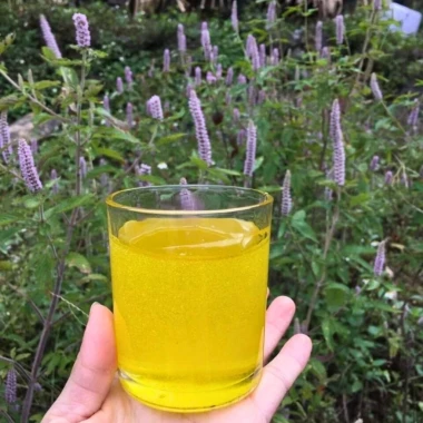 500ML Mật Ong Hoa Bạc Hà Hà Giang - Mật Ong Hoa Bạc Hà nguyên chất - PREMIUM MINT BLOSSOM HONEY 3 500ML Mật Ong Hoa Bạc Hà Hà Giang - Mật Ong Hoa Bạc Hà nguyên chất - PREMIUM MINT BLOSSOM HONEY 3