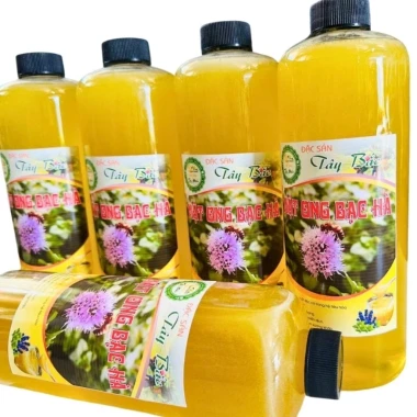 500ML Mật Ong Hoa Bạc Hà Hà Giang - Mật Ong Hoa Bạc Hà nguyên chất - PREMIUM MINT BLOSSOM HONEY 10 500ML Mật Ong Hoa Bạc Hà Hà Giang - Mật Ong Hoa Bạc Hà nguyên chất - PREMIUM MINT BLOSSOM HONEY 10