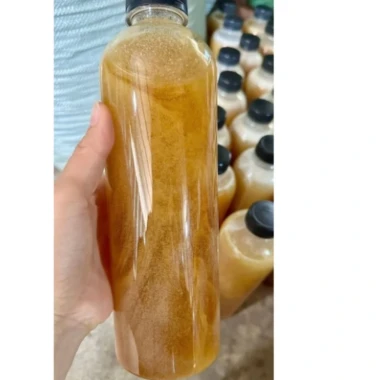 500ML Mật Ong Hoa Bạc Hà Hà Giang - Mật Ong Hoa Bạc Hà nguyên chất - PREMIUM MINT BLOSSOM HONEY 13 500ML Mật Ong Hoa Bạc Hà Hà Giang - Mật Ong Hoa Bạc Hà nguyên chất - PREMIUM MINT BLOSSOM HONEY 13
