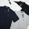 Áo polo thêu ngựa cổ bẻ, logo cotton cao cấp, form rộng, thoáng mát, unisex - 145.000₫ 3