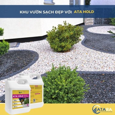 ATA HOLD - Dung dịch cố định sỏi đá, trang trí sân vườn, tiểu cảnh 2