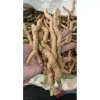 Ba Kích Tím Tươi Nguyên Củ Quảng Ninh Loại 1 Giảm Giá Chỉ 194.000đ/Kg - Mua Ngay 4
