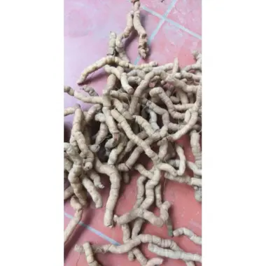 Ba Kích Tím Tươi Nguyên Củ Quảng Ninh Loại 1 Giảm Giá Chỉ 194.000đ/Kg - Mua Ngay 7