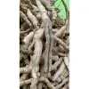 Ba Kích Tím Tươi Nguyên Củ Quảng Ninh Loại 1 Giảm Giá Chỉ 194.000đ/Kg - Mua Ngay 8