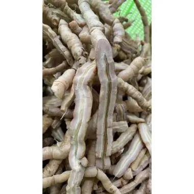 Ba Kích Tím Tươi Nguyên Củ Quảng Ninh Loại 1 Giảm Giá Chỉ 194.000đ/Kg - Mua Ngay 8