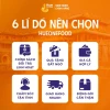 Bánh Ép Huế Vị Thịt Nướng BBQ Giòn Rụm 40g - Món Ăn Vặt Thơm Ngon Giá 20.000đ Hộp Nhỏ 10