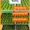 Bánh ngải cứu đặc sản vùng miền bánh lá ngải tươi 10 bánh 650gr Tuta Food ship hỏa tốc HCM 5