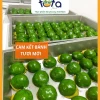 Bánh ngải cứu đặc sản vùng miền bánh lá ngải tươi 10 bánh 650gr Tuta Food ship hỏa tốc HCM 9