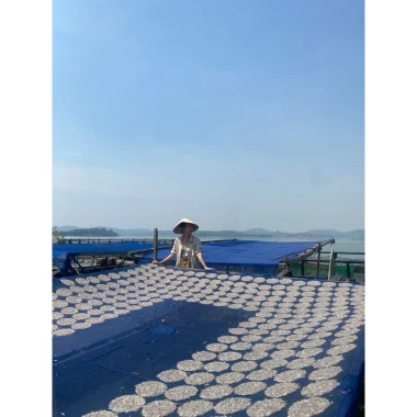 Bánh Tráng Ép Cá Cơm Sông Sê San Tây Nguyên Giảm Giá 99000đ - Món Ăn Đặc Sản 5