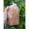 Bánh Tráng Phơi Sương Tây Ninh - Giảm Giá Còn 25.000đ - Muối Tôm & Muối Nhuyễn Chính Gốc 11