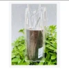 Bình Giữ Nhiệt Thép 304 Cute 600ml Có Ống Hút - Giá Shock Chỉ 66800đ 7