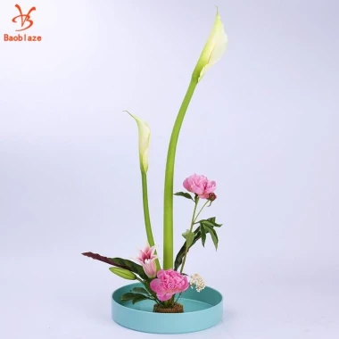 Bình Hoa Ikebana Nhật Bản Chuyên Nghiệp - Giá Siêu Khuyến Mãi 141900đ 3