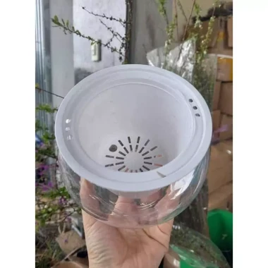 Bình Thủy Sinh Trồng Gừng Cây Cảnh Bonsai Chất Liệu Nhựa PE Cao Cấp Chịu Nắng Mưa Giá Chỉ 50k 4 Bình Thủy Sinh Trồng Gừng Cây Cảnh Bonsai Chất Liệu Nhựa PE Cao Cấp Chịu Nắng Mưa Giá Chỉ 50k 4
