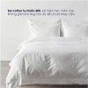 Bộ 4 món Chăn ga Changmi cotton lụa siêu mềm, khách sạn 5 sao, giá 1,852,150 3