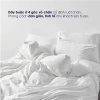 Bộ 4 món Chăn ga Changmi cotton lụa siêu mềm, khách sạn 5 sao, giá 1,852,150 5