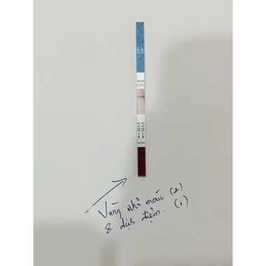 Bộ Test Xét Nghiệm Vi Khuẩn HP (H. Pylori) Fastep Mỹ - Giảm Giá Còn 35.000đ 5 Bộ Test Xét Nghiệm Vi Khuẩn HP (H. Pylori) Fastep Mỹ - Giảm Giá Còn 35.000đ 5