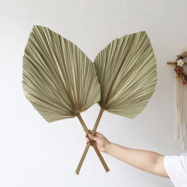 Bông Lau Xù Sấy Khô Trang Trí Chụp Ảnh - Background Sân Khấu Tiệc Cưới Giá Tốt 15900đ 20