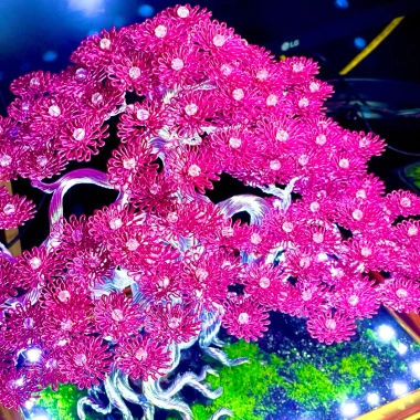 Bonsai Handmade 100 Bông Tùng Lá Nhôm - Giảm 159k Còn 129k, Hoa Lá Nhôm Bonsai Tự Làm Giá Rẻ 6