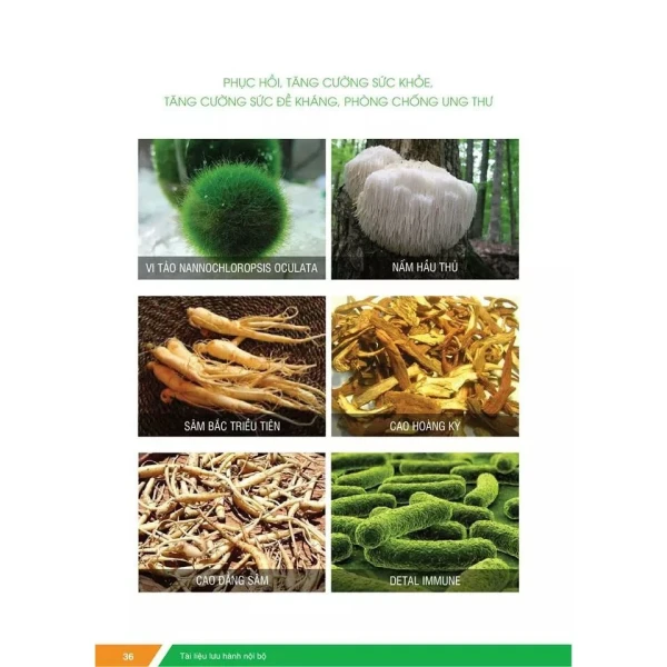 Thành phần và công dụng của bột dinh dưỡng VHEALTH hương Trà Xanh & Socola