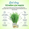 Bột rau củ mầm lúa mạch grass barley Nhật Bản KENKOGEN +16 loại trái cây chất xơ lợi khuẩn vitamin 4