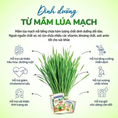 Bột rau củ mầm lúa mạch grass barley Nhật Bản KENKOGEN +16 loại trái cây chất xơ lợi khuẩn vitamin 4 Bột rau củ mầm lúa mạch grass barley Nhật Bản KENKOGEN +16 loại trái cây chất xơ lợi khuẩn vitamin 4