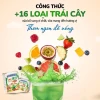 Bột rau củ mầm lúa mạch grass barley Nhật Bản KENKOGEN +16 loại trái cây chất xơ lợi khuẩn vitamin 6