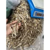Cá cơm khô dỏng (cá trỏng) 500g-1kg Nghệ An, to, sáng, giảm giá 75.000 2