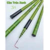 Cần Câu Tay 3H Trúc Xanh Giá Rẻ Chỉ 34999Đ - Đủ Size Gahagv555 Cất Câu 2