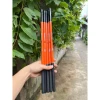 Cần Câu Tay Mini Cam Giá Rẻ Chỉ 50k - Câu Cá Nhỏ gọn Tiện Lợi 65000 VND Giảm Giá 12