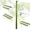 Cần Câu Tay Trúc Xanh 3H Độ Dẻo Cao Câu Cá 0.5-4kg Giá Tốt 45k 6