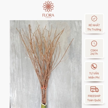 Cành Cây Khô Trang Trí Decor Nhà Cửa Tết - Nhánh Cây Nhiều Nhánh Cắm Bình Hoa Gỗ Giá Rẻ 50k 2 Cành Cây Khô Trang Trí Decor Nhà Cửa Tết - Nhánh Cây Nhiều Nhánh Cắm Bình Hoa Gỗ Giá Rẻ 50k 2