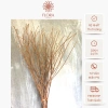Cành Cây Khô Trang Trí Decor Nhà Cửa Tết - Nhánh Cây Nhiều Nhánh Cắm Bình Hoa Gỗ Giá Rẻ 50k 3
