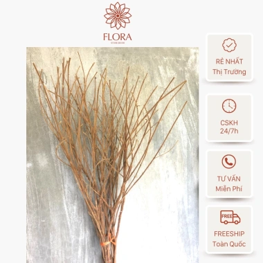 Cành Cây Khô Trang Trí Decor Nhà Cửa Tết - Nhánh Cây Nhiều Nhánh Cắm Bình Hoa Gỗ Giá Rẻ 50k 3 Cành Cây Khô Trang Trí Decor Nhà Cửa Tết - Nhánh Cây Nhiều Nhánh Cắm Bình Hoa Gỗ Giá Rẻ 50k 3