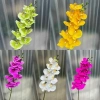 Cành hoa lan hồ điệp cao su 9 bông loại sịn - Giá chỉ 17.500đ, bền đẹp, giảm giá