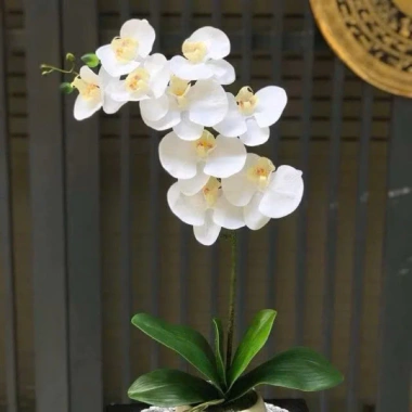 Cành hoa lan hồ điệp cao su 9 bông loại sịn - Giá chỉ 17.500đ, bền đẹp, giảm giá 3